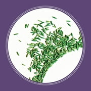 Pennington Smart Seed Dense Shade Grass Seed Mix. 3 lb.