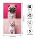 thumbnail image 2 of Fotbe Colorful Dog Cat Collage Toalla Premium con Patrón, Toalla de Microfibra de Secado Rápido, Ligera y Altamente Absorbente (27.5x16in), Ideal para Uso Diario, 2 of 6