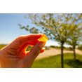 thumbnail image 4 of Herbaland Oh My Canada! Maple Syrup, 4 of 4