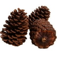 thumbnail image 6 of Natural PineCones Ornaments DIY Christmas Ornaments Pinecones Crafts with String Fall Garland Decor Christmas Tree Ornaments 2.75-3.5in, 6 of 8