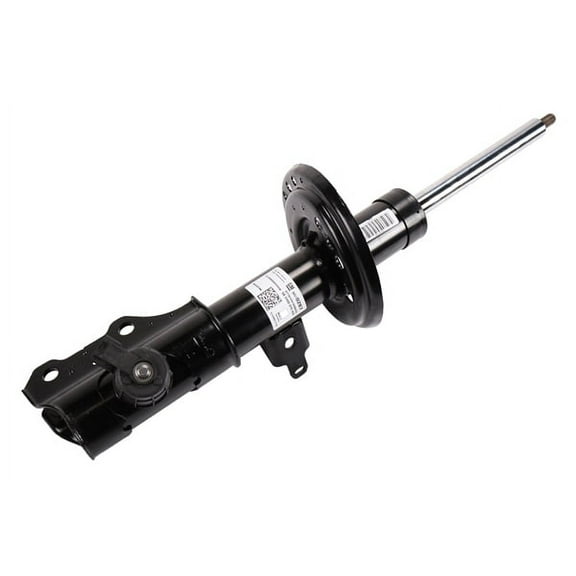 Front Passenger Side Suspension Strut