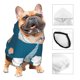 thumbnail image 3 of Fotbe Nurse Doctor Gnomes Sudadera con Estampado para Perros Pequeños – Suéter con Capucha para Mascotas, Tela Suave de Forro Polar con Bolsillo-XX-Large, 3 of 7