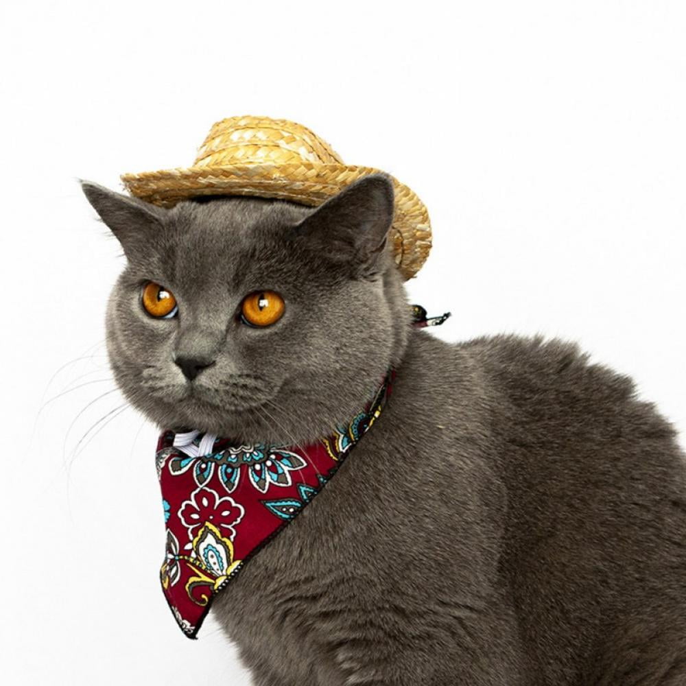 WODISON Cool Pet Dog Cat Cowboy Costume Hat and Bandana Scarf Set of 2