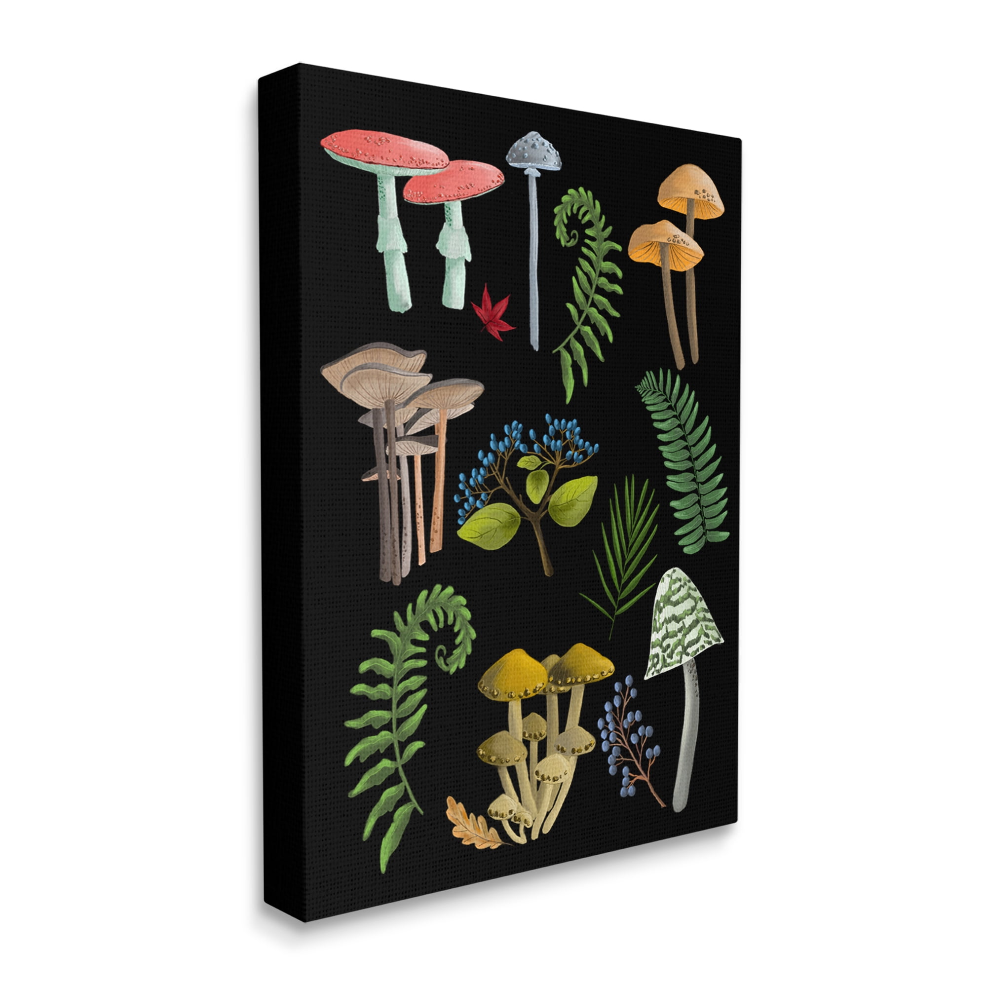 Stupell Industries Forest Mushrooms & Plants Botanical & Floral Painting Gallery Wrapped Canvas Art Print Wall Art, 16 x 20
