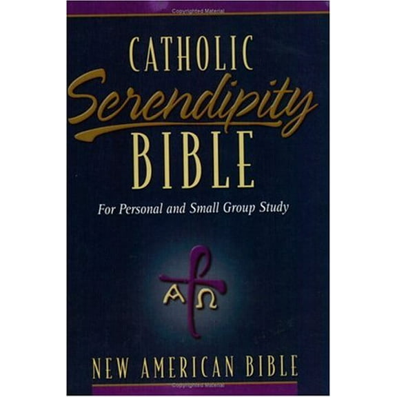 Pre-Owned NAB Catholic Serendipity Bible (Paperback) 0310937388 9780310937388
