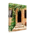 thumbnail image 2 of Trademark Fine Art 'Sunlit Vines' Canvas Art by Michael Swanson, 2 of 4