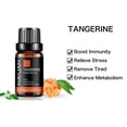 thumbnail image 2 of MAYJAM 100% Pure & Natural Tangerine Essential Oil for Aromatherapy & Diffuser - 10ml, 2 of 5