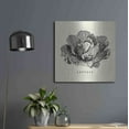 thumbnail image 6 of Luxe Metal Art 'Linen Vegetable BW Sketch Lettuce' by Studio Mousseau, Metal Wall Art, 24"x24", 6 of 7