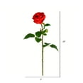 thumbnail image 2 of Vickerman 26" Artificial Red Rose Stem, 6 per Bag, 2 of 2