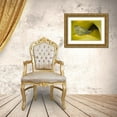 thumbnail image 3 of Rotenberg, Nancy 32x23 Gold Ornate Wood Framed with Double Matting Museum Art Print Titled - Ohio Sulphur butterfly on yellow daffodil flower, 3 of 4