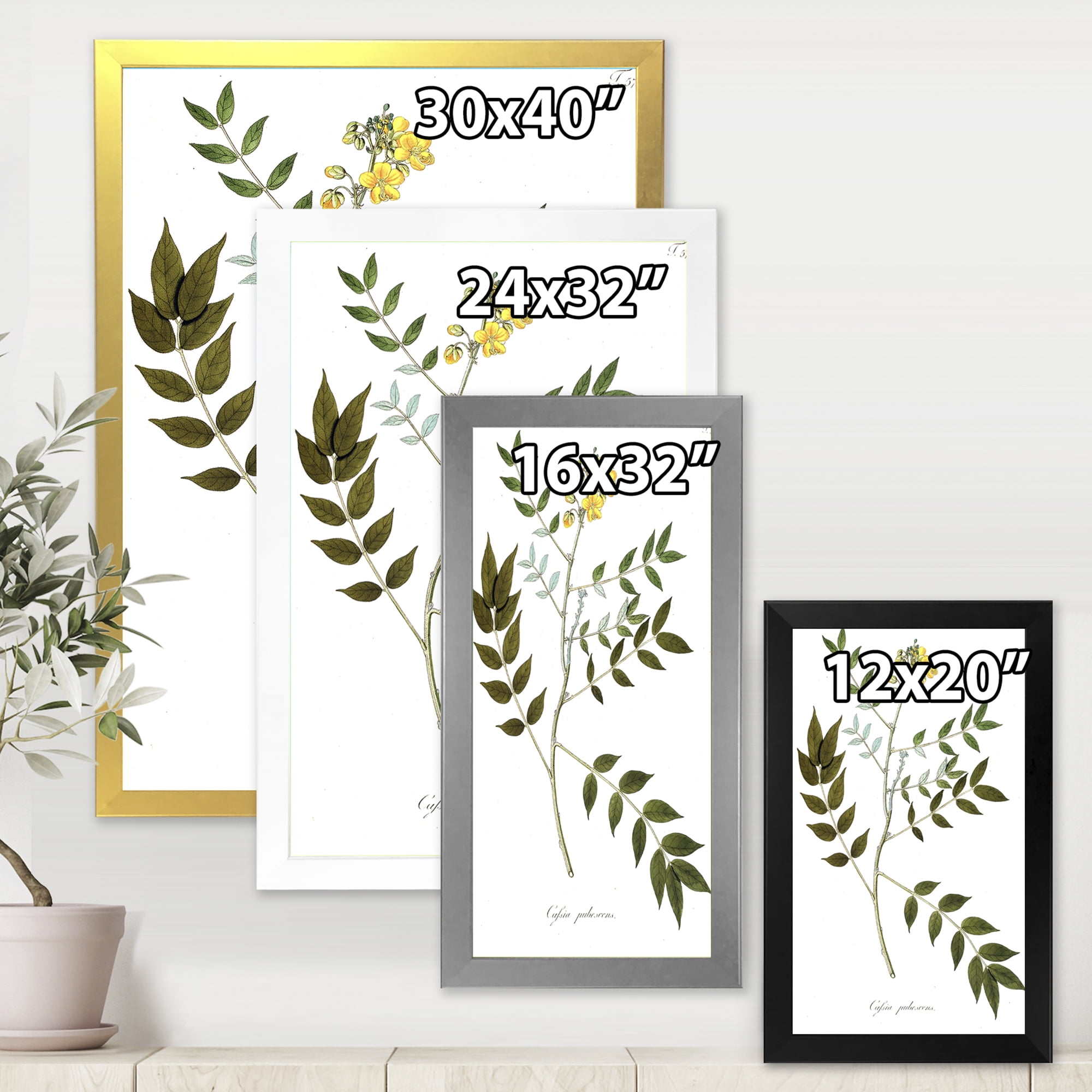 Designart 'Ancient Botanicals XVIII' Traditional Framed Art Print