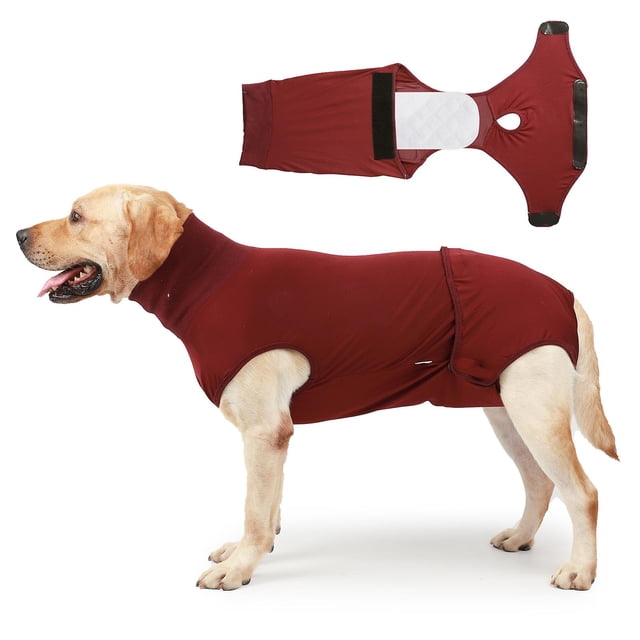 Traje de recuperación para perros Cirugía Perro Onesie Cono Alternativas Traje de esterilización Traje de recuperación quirúrgica