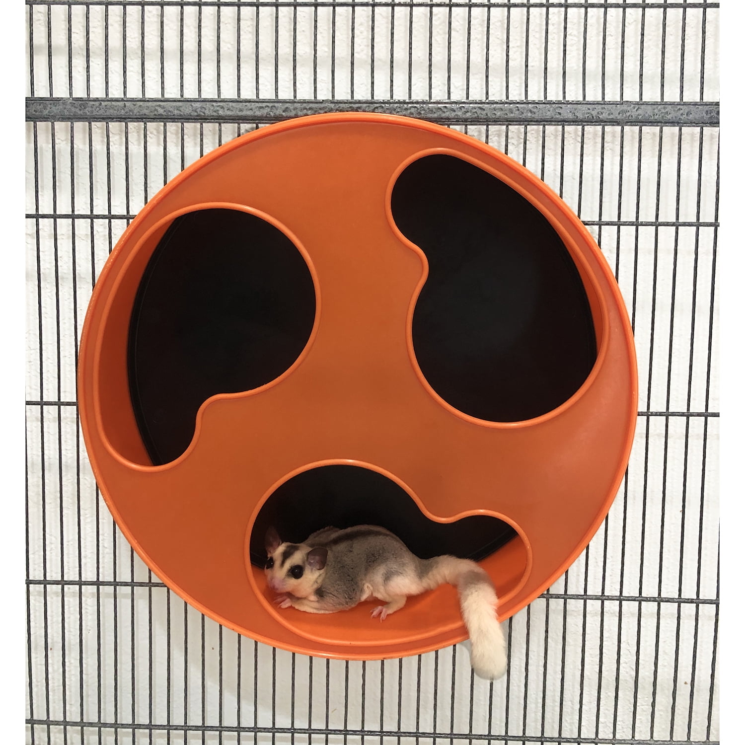 Silent Runner 12 in. Pet Exercise Wheel