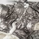 thumbnail image 4 of Ropa de Invierno para Perros Pequeños y Gatos, Forro Grueso, Chaqueta Impermeable Cálida, Abrigo para Mascotas, Cachorros, Bulldog Francés, BS, 4 of 7