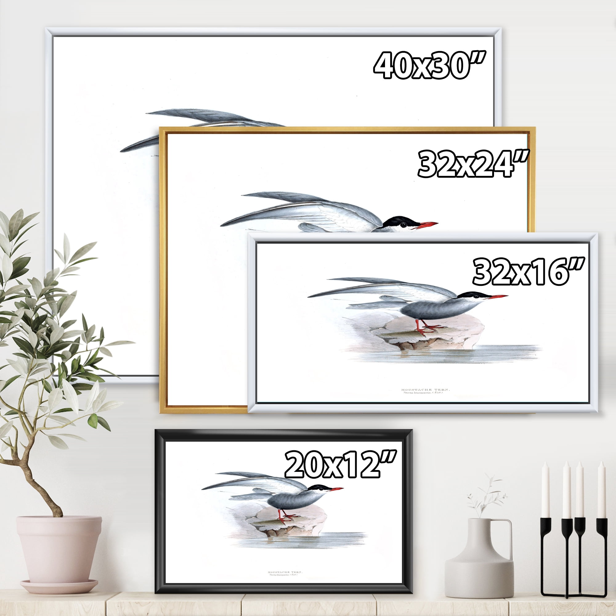Ancient Bird Of Europe I 32 in x 16 in Framed Painting Canvas Art Print, by Designart