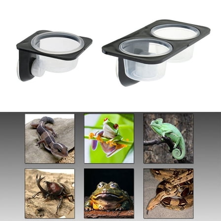 Lizard Gecko Suction Cup Feed Bowl for Reptile Food & Water Feeding-B