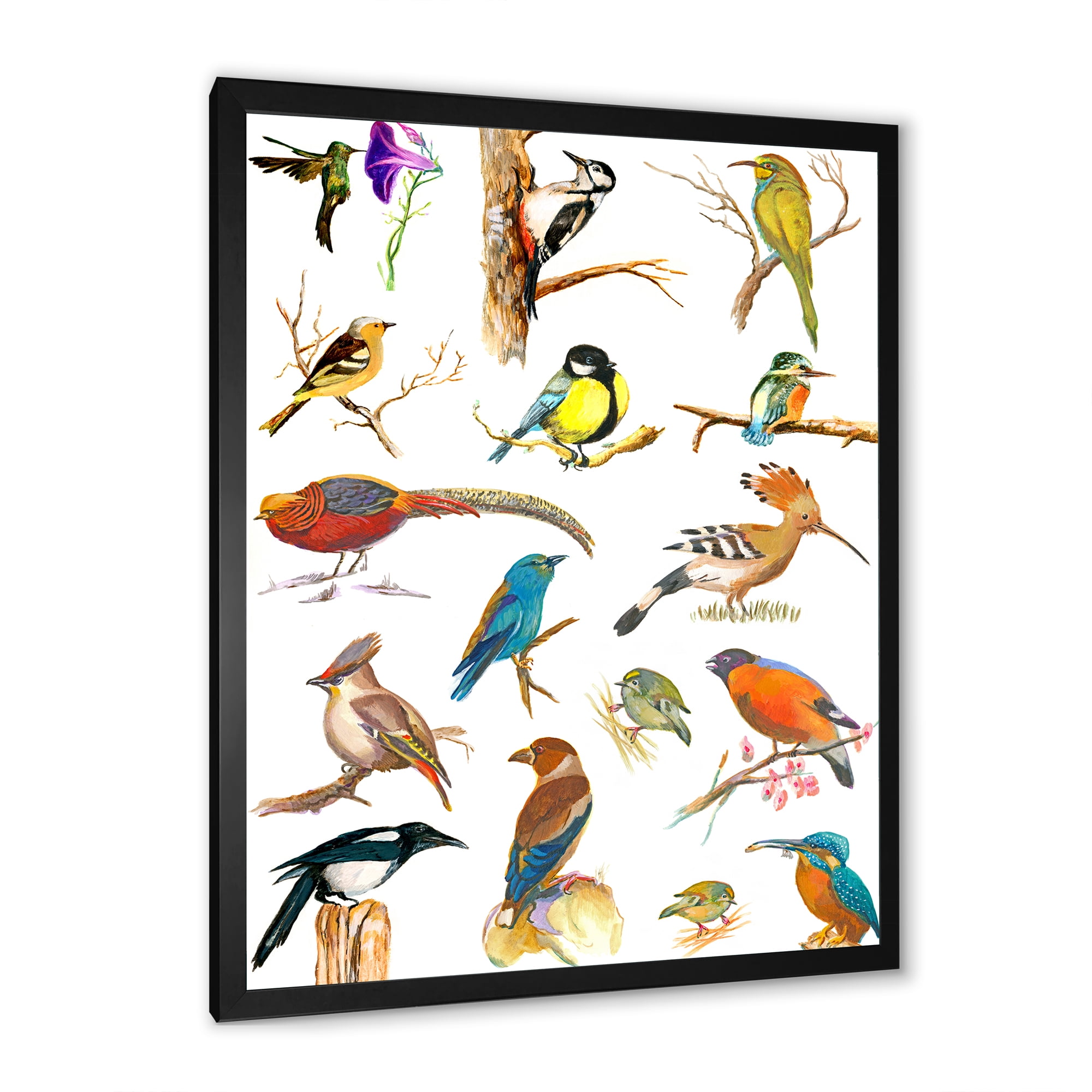 Designart 'Vital Colored Birds Plancard' Traditional Framed Art Print