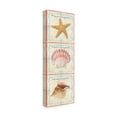 thumbnail image 4 of Trademark Fine Art 'Sea Shells 5' Canvas Art by Jean Plout, 4 of 4
