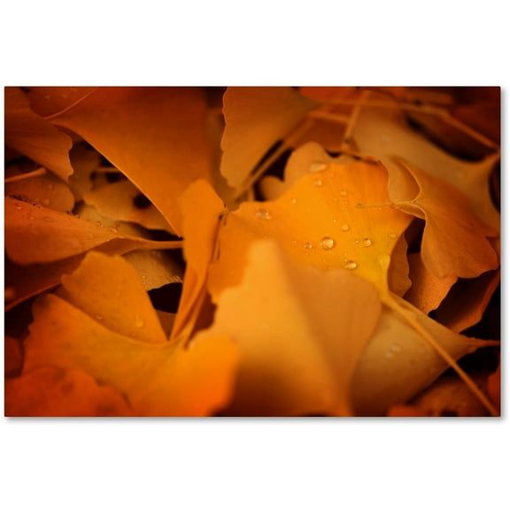 Trademark Fine Art "Divine Pearls" Canvas Art by Philippe Sainte-Laudy