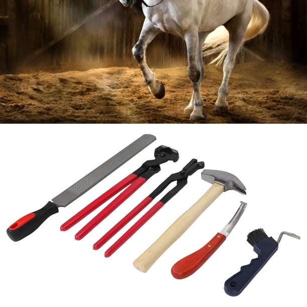 Kit 5 Outils De Maréchalerie Rustark – Pince, Ciseau, Râpe, Brosse Pour Soins Des Sabots Cheval, Mouton, Chèvre