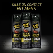 Black Flag Unscented Ant & Roach Killer Spary, 17.5 oz, Liquid, Can