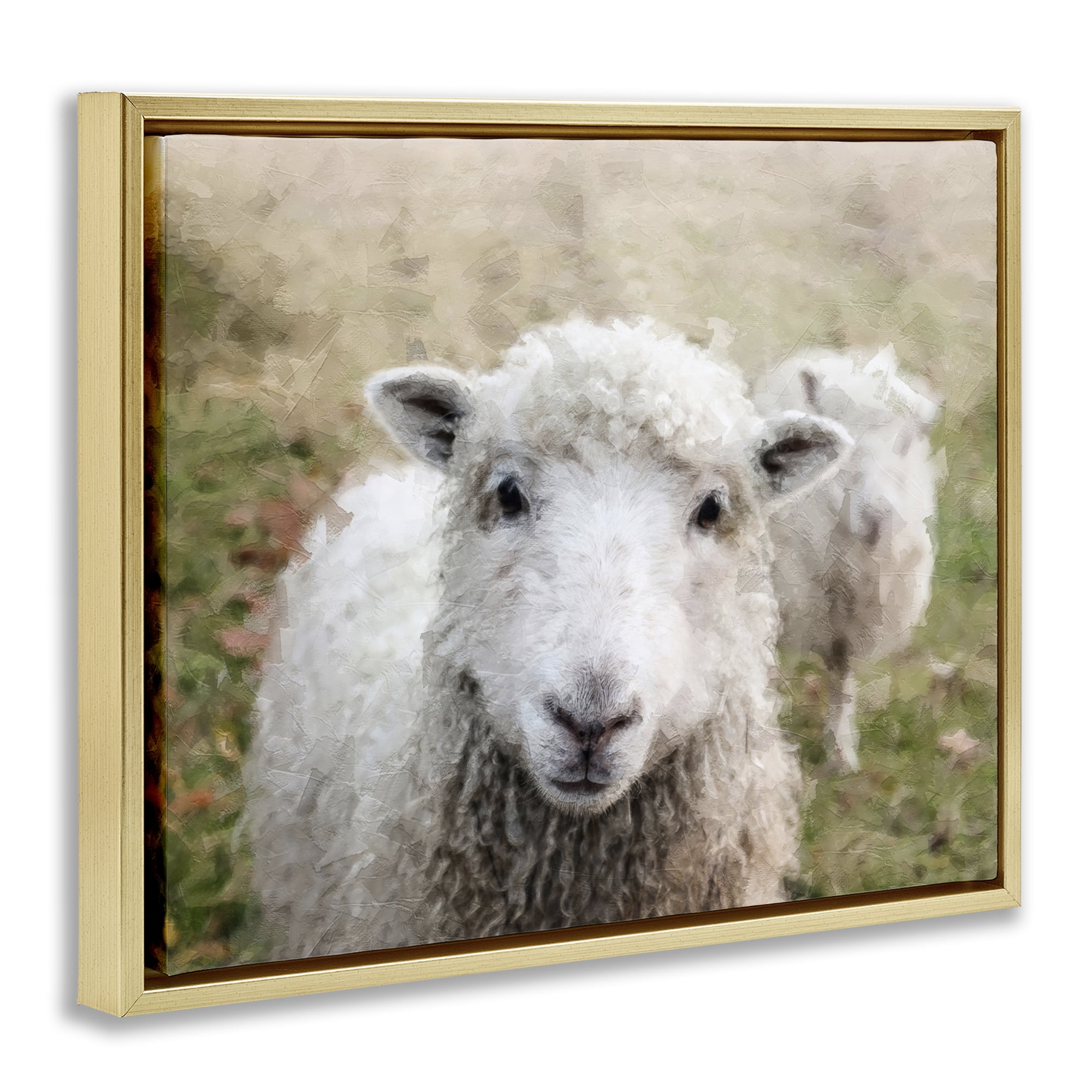 Stupell Industries Close Up Sheep Gaze Animals & Insects Painting Gold Floater Framed Canvas Art Print Wall Art, 21 x 17