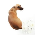 thumbnail image 1 of HINTRMENT Coussin Réaliste pour Chien avec Forme Stéréo pour Canapé Maison pour Enfants 1 Pce, 1 of 8