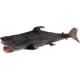 thumbnail image 5 of Juguete de s de animales, tiburón de animal realista, juguete de animales s de aprendizaje del para pequeños Baoblaze Figura de miniatura de animales salvajes, 5 of 8