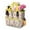 Pioneer Flower Floral-2, variant on Garden Tool Bag,Pioneer Flower Floral Print Pattern Garden Tool Organizer,Garden Gifts,Waterproof Multi-Pocket Garden Tool Storage 11.8x5.5x11.4 Inch(Tools NOT Included)