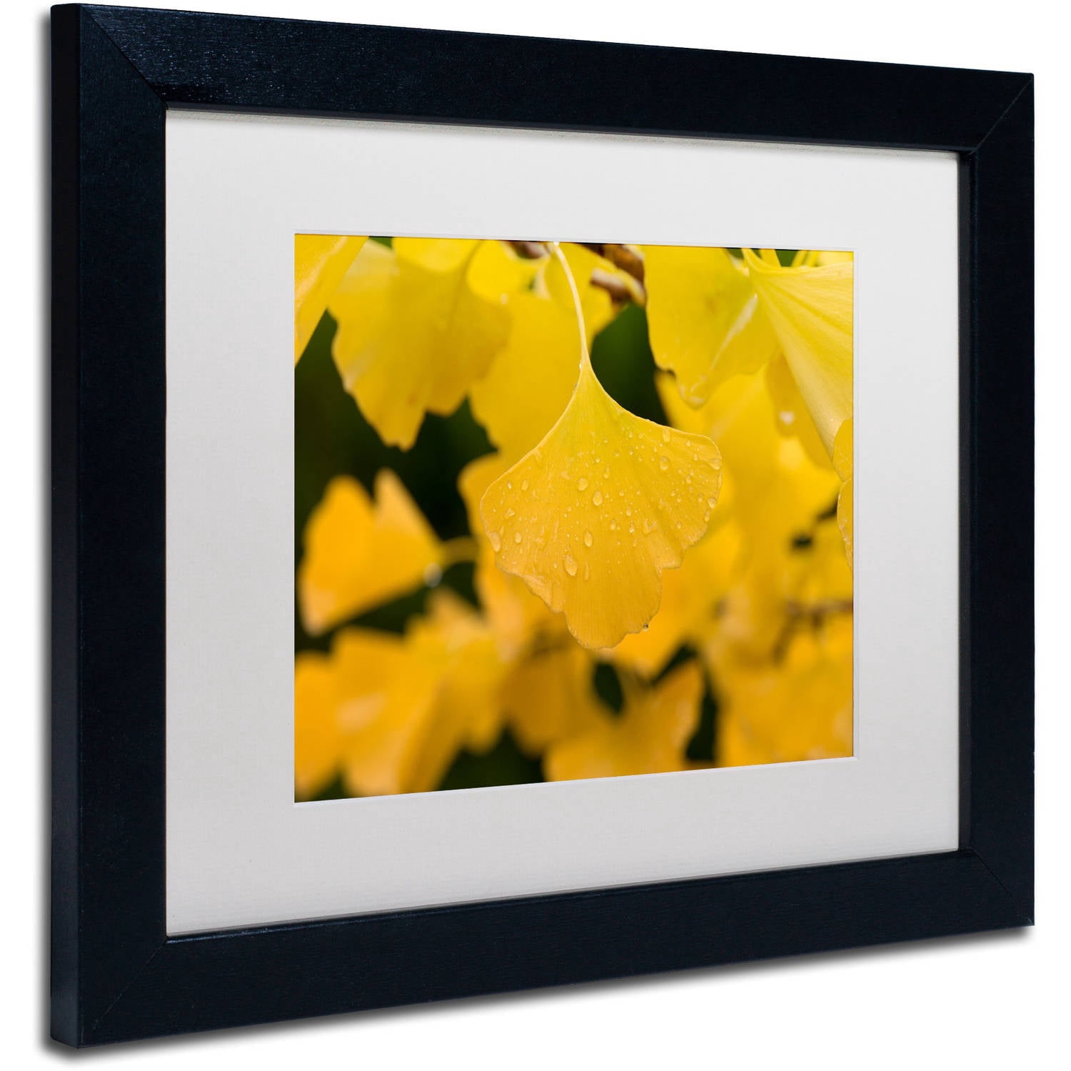 Trademark Fine Art "Ginkgo in the Rain" Canvas Art by Philippe Sainte-Laudy White Matte, Black Frame