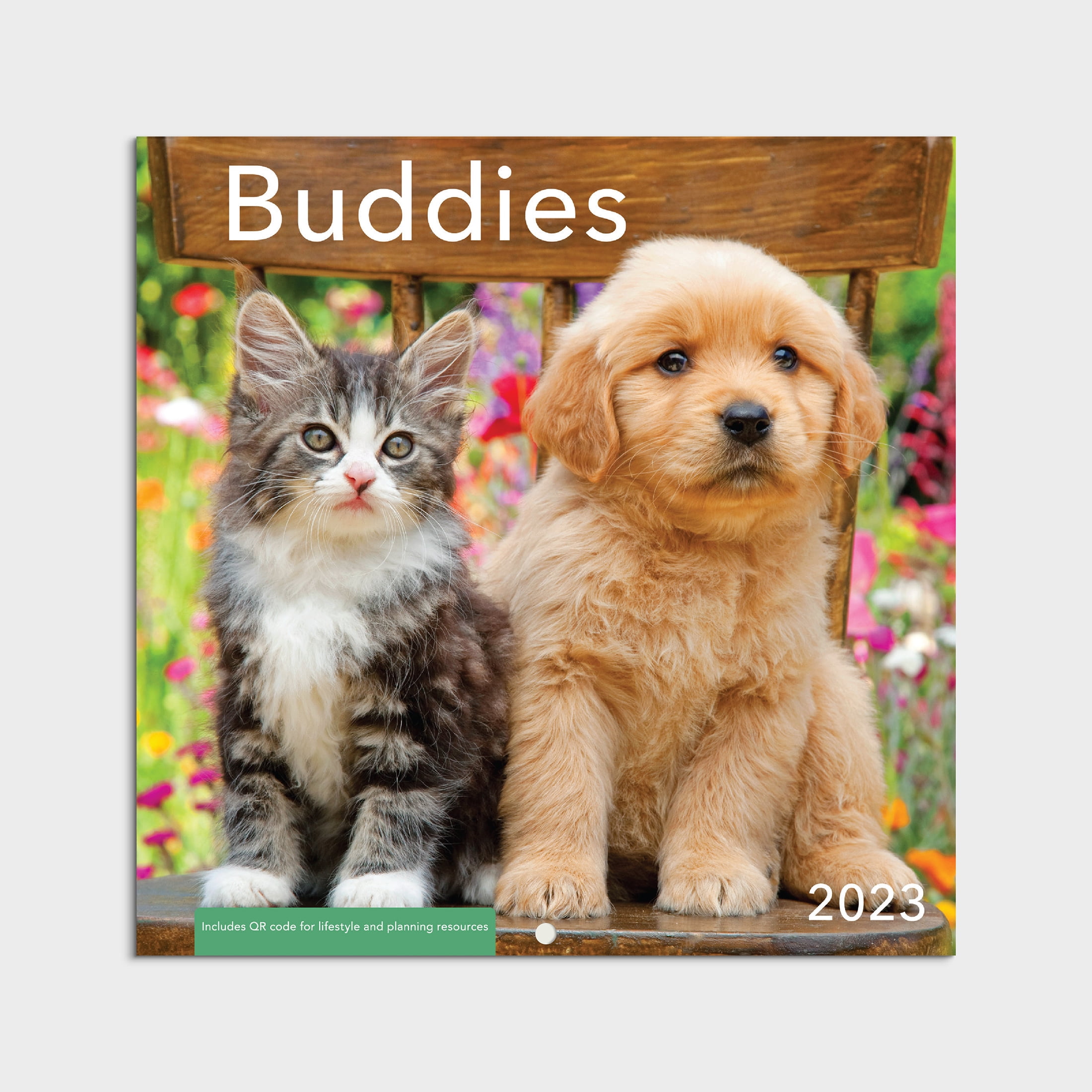 2023 Mini Wall Calendar - Buddies- 7"x7" Puppies and Kittens by Dayspring