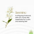 thumbnail image 4 of Gonesh Jasmin Extra Riche 20 Bâtonnets (l'Emballage et les Parfums Peuvent Parfois Varier) - Lot de 3, 4 of 7