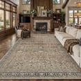 thumbnail image 1 of BERTHMEER 6'x9' Washable Area Rugs for Living Room Bedroom Kitchen Rugs Non Slip Brown Vintage Traditional Dorm Office Dining Room Farmhouse Oriental Distressed Rugs, 1 of 8