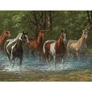 Springbok Summer Creek Horses - 500 Piece Jigsaw Puzzle for Adults - Unique Cut Pieces