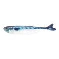 thumbnail image 2 of CNKOO Creative Carp Catnip Stuffed Pillow Fish Plush Cat Toy Playing Pet Accessories, 2 of 7