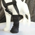 thumbnail image 5 of Drop Foot Brace for Dogs – Corrective Dog Shoes to Improve Walking Gait, Soft & Breathable Pet Footwear for Paw Support, Injury Recovery & Mobility Assistance, 5 of 7