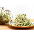 thumbnail image 2 of TomorrowSeeds - True Alfalfa Seeds - 1000+ Count - For 2026 Planting USA Vegetable Asian Salad Green, 2 of 11