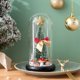 thumbnail image 1 of Decoración de regalo de Navidad Cubierta de vidrio Accesorios de regalo de cumpleaños Adornos de árbol de Navidad creativos luminosos Wmkox8yii gf10084, 1 of 1