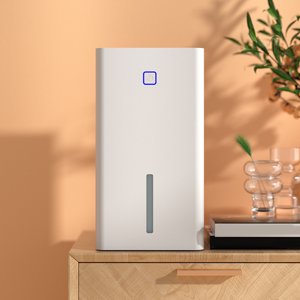 Déshumidificateur, 1.1L Réservoir d'eau Déshumidificateur intelligent silencieux, déshumidifiants silencieux Idéal pour le sous-sol de la chambre à coucher RV Salle Air Amélioration