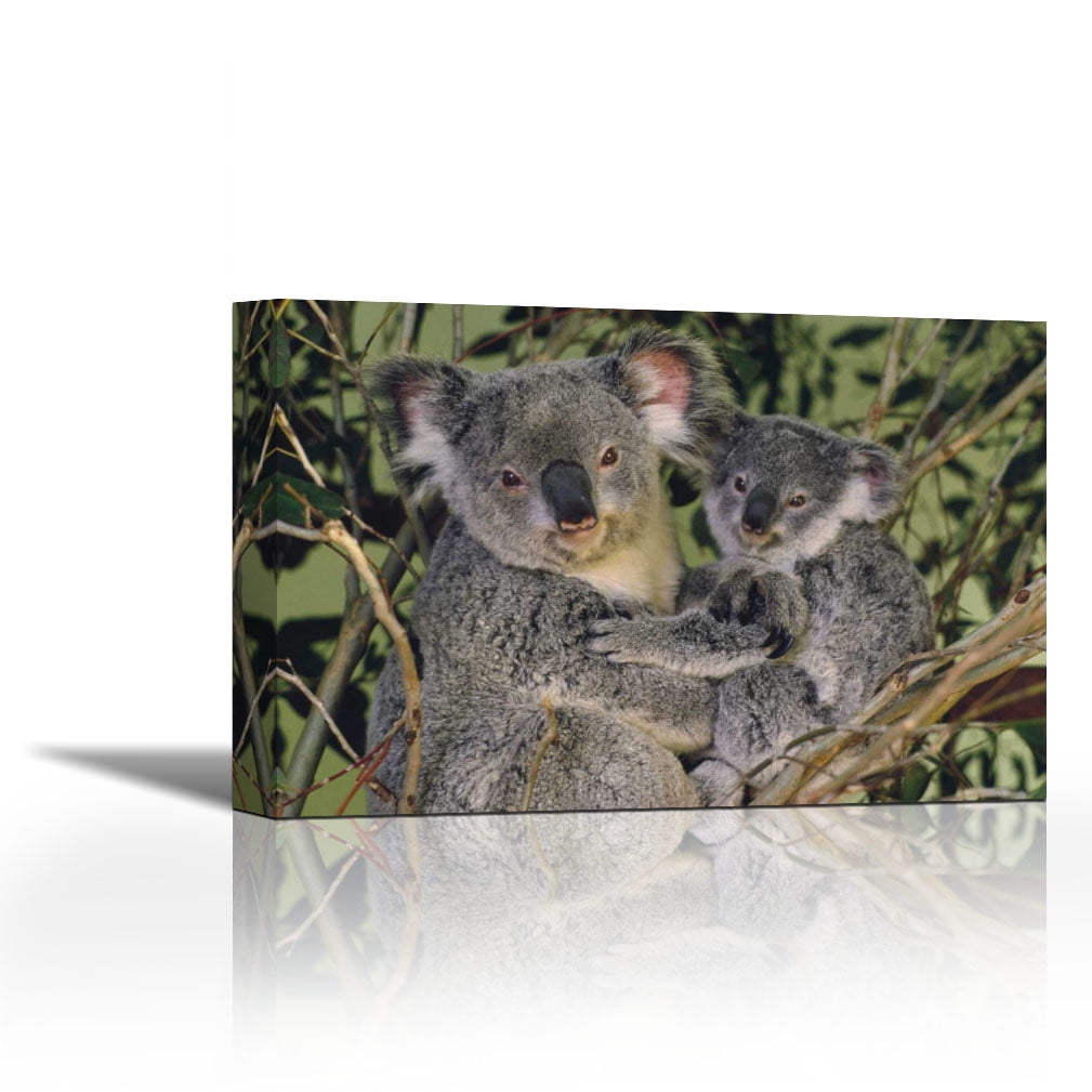 Koala mother with joey, eastern temperate Australia - Contemporary Fine ...