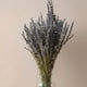 thumbnail image 4 of Yuarrent Lavanda seca Natural, lavandas frescas ligeras, hermoso ramo de flores decorativas para regalos de fiesta de boda Decoración del hogar Lavanda seca 50 gramos Yuarrent HA084088-01, 4 of 6
