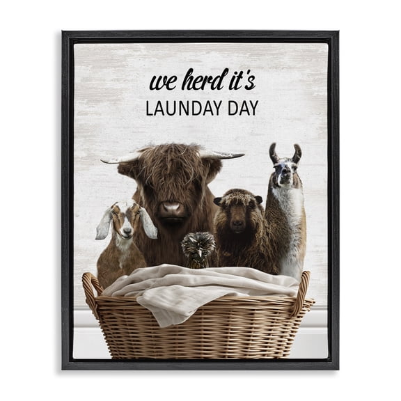 Stupell Industries Herd It's Laundry Day Animals Quotes and Sayings Painting Black Floater Framed Canvas Art Print Wall Art, 17 x 21