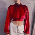 thumbnail image 1 of Pntutb Mujer Otoño e Invierno Nueva Moda Europea y Americana Pantalones Cortos de Terciopelo de Cuello Alto Recortado Ombligo Delgado Suéter Delgado Top de Manga Larga Pntutb Pntutb-2981, 1 of 1