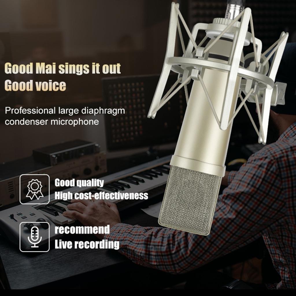 High Sensitivity Condenser Microphones Noise Reductions XLR Interfaces For Home Studio