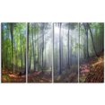thumbnail image 2 of Rayons du Soleil Matinaux en Carpathien, 2 of 3