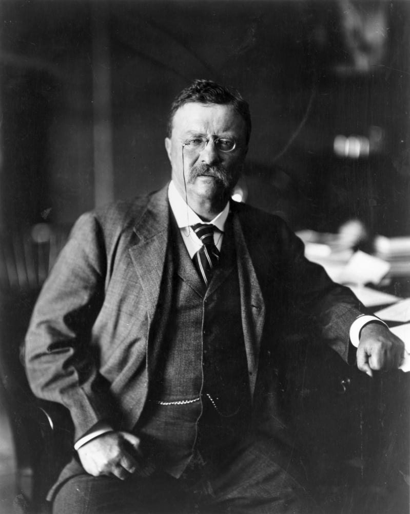 Stretched Canvas Art - Theodore Roosevelt /N(1858-1919). 26Th President ...