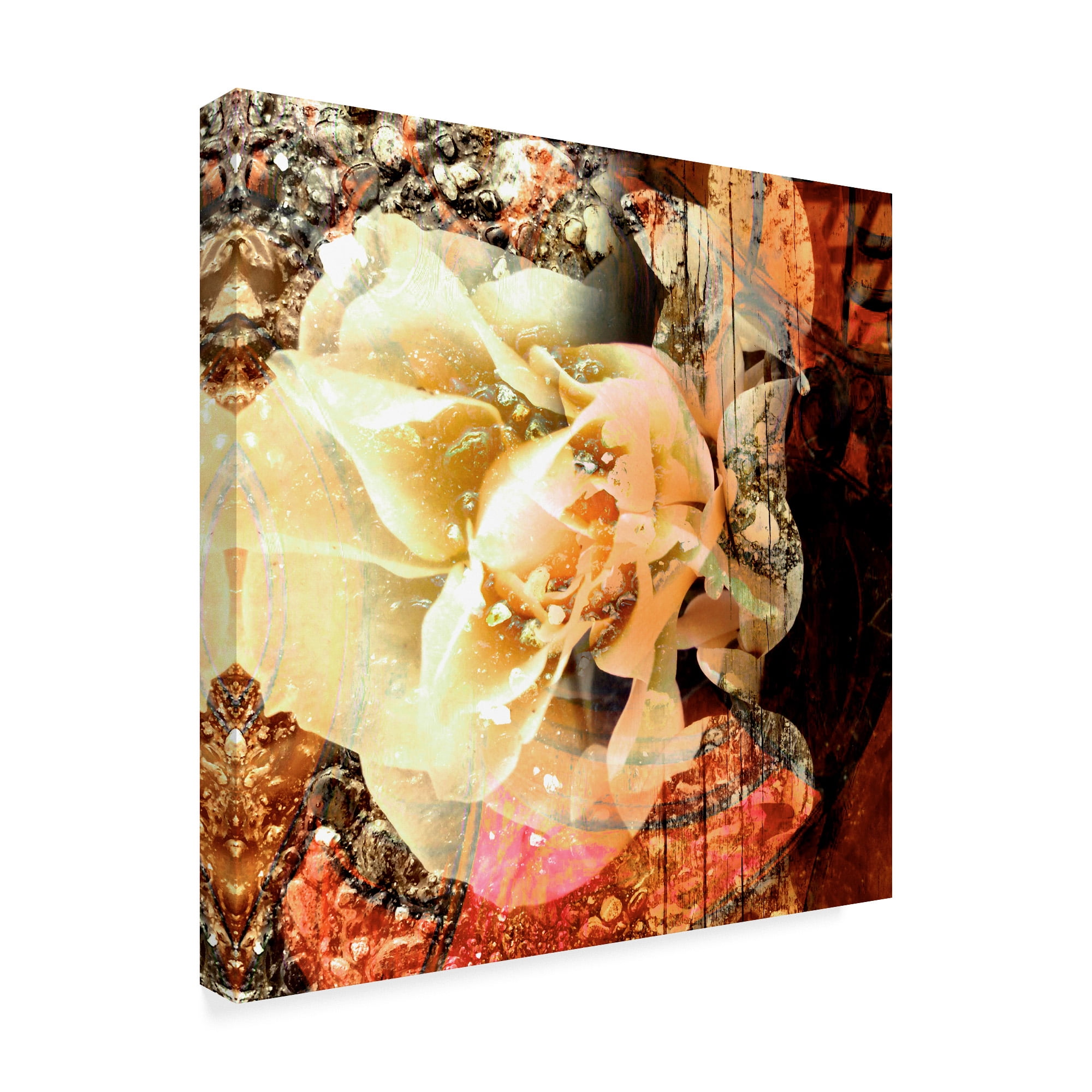 Trademark Fine Art 'Eveline I' Canvas Art by Danielle Harrington
