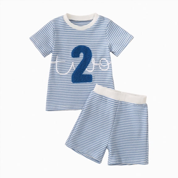 Toddler Baby Boy Clothes Summer Outfits 2nd Birthday Funny Embroidery Short Sleeve Shirt & Shorts, Cute Birthday Clothes 18-24 Months