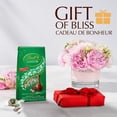 thumbnail image 3 of Lindt LINDOR Peppermint Cookie Milk Chocolate Truffles, 150-Gram Bag, 3 of 7