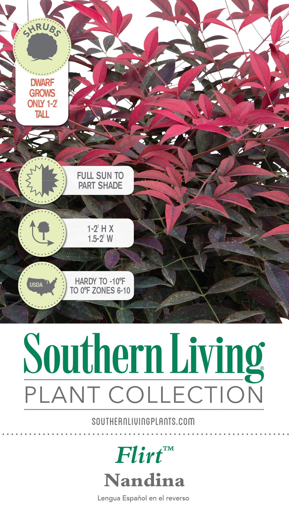 Southern Living Flirt Nandina Live Shrub in 1.5-Gallon Grower Pot